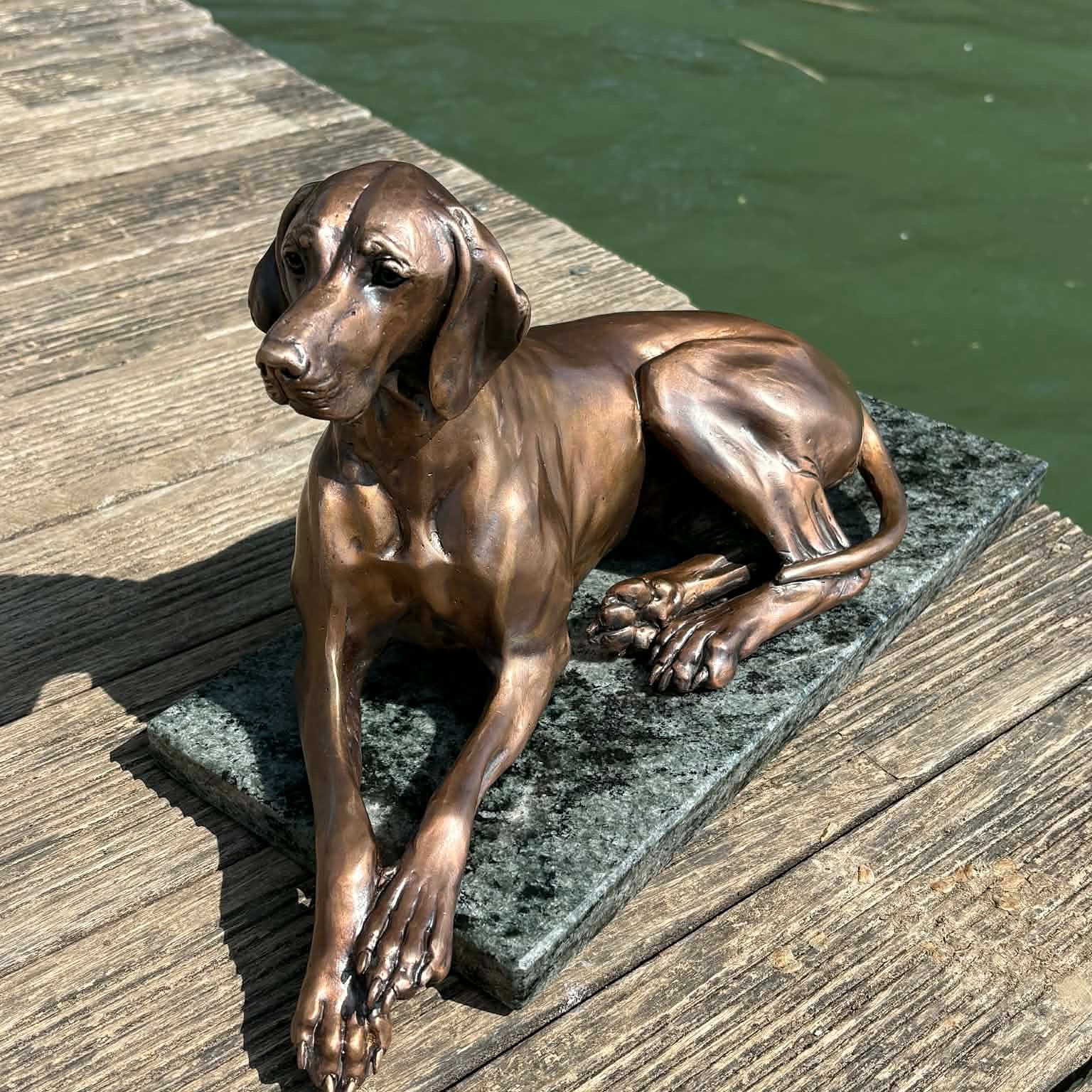 Lying Hungarian Vizsla Bronze sculpture, by Anna Tölgyesi Poós