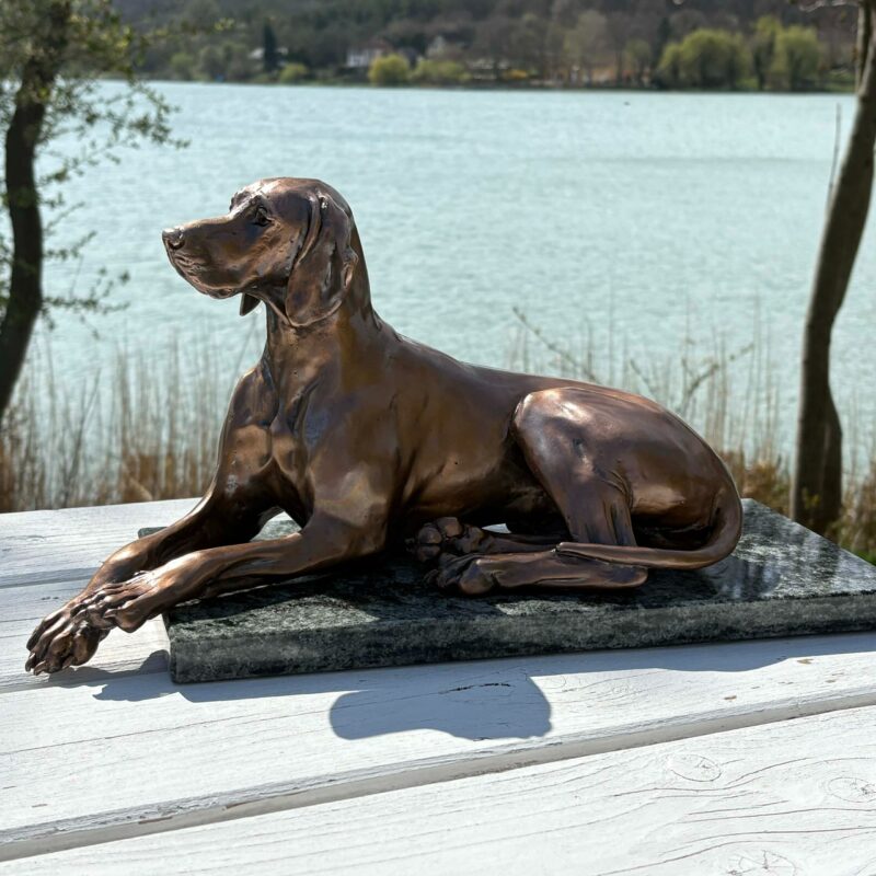 Lying Hungarian Vizsla Bronze sculpture, by Anna Tölgyesi Poós