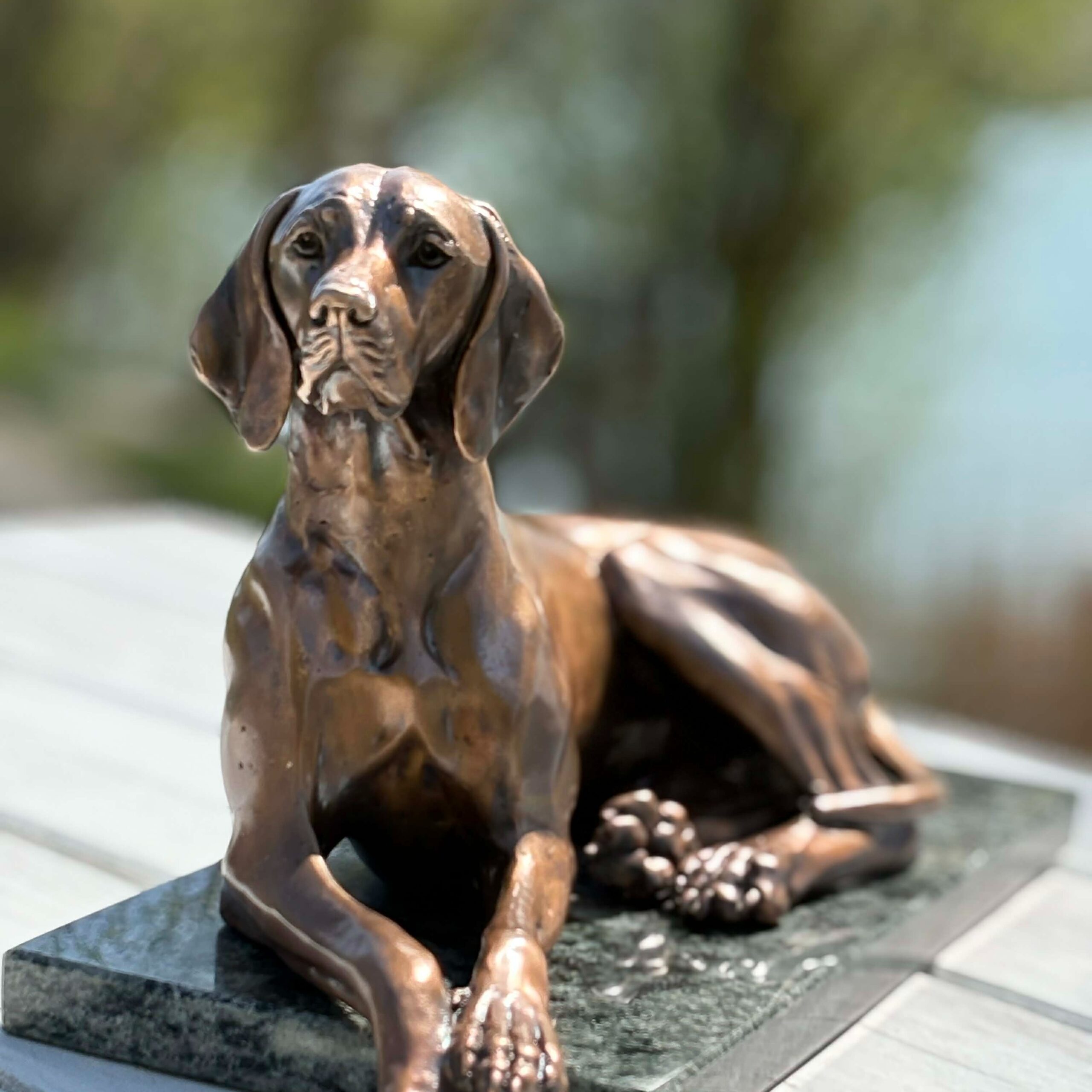 Lying Hungarian Vizsla Bronze sculpture, by Anna Tölgyesi Poós