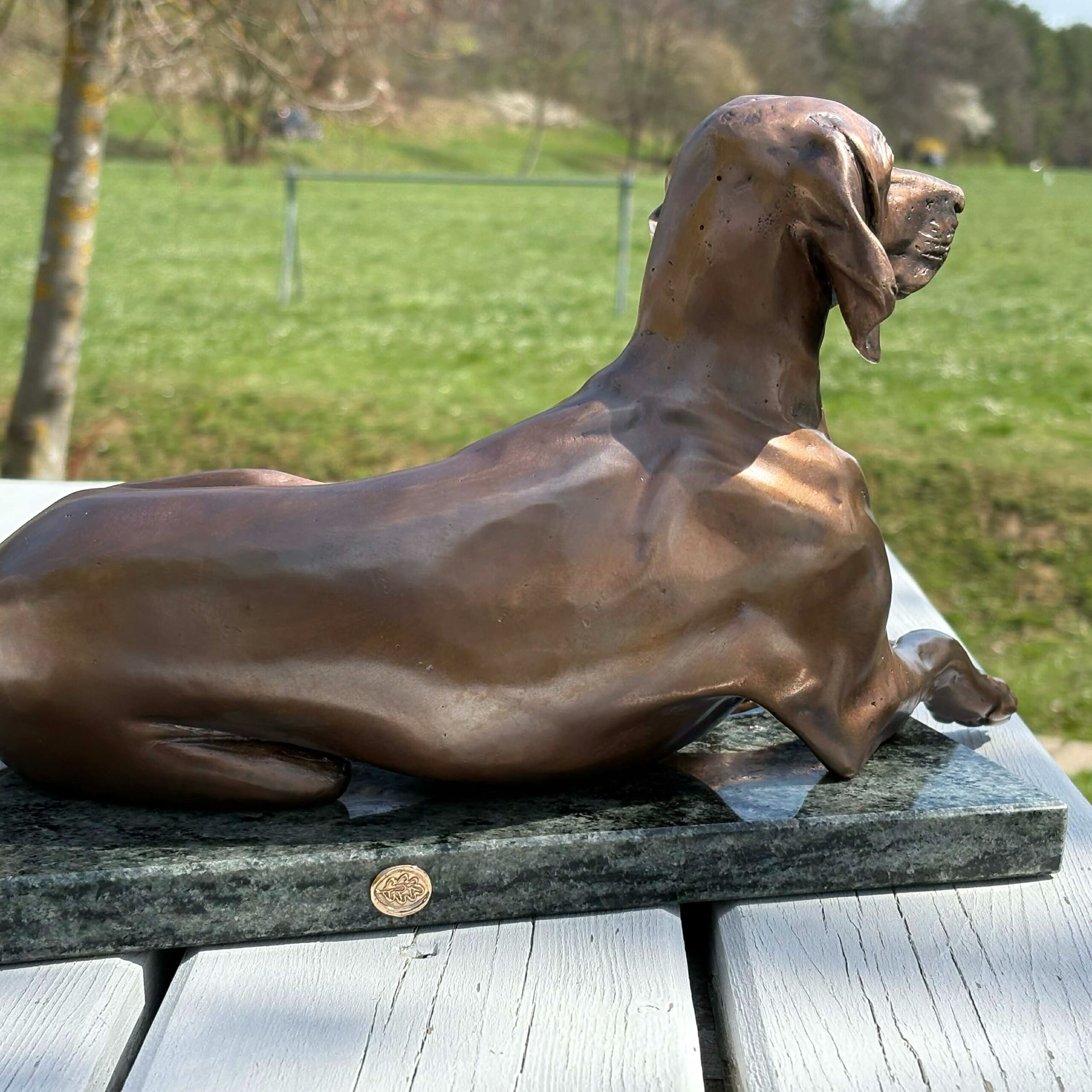 Lying Hungarian Vizsla Bronze sculpture, by Anna Tölgyesi Poós