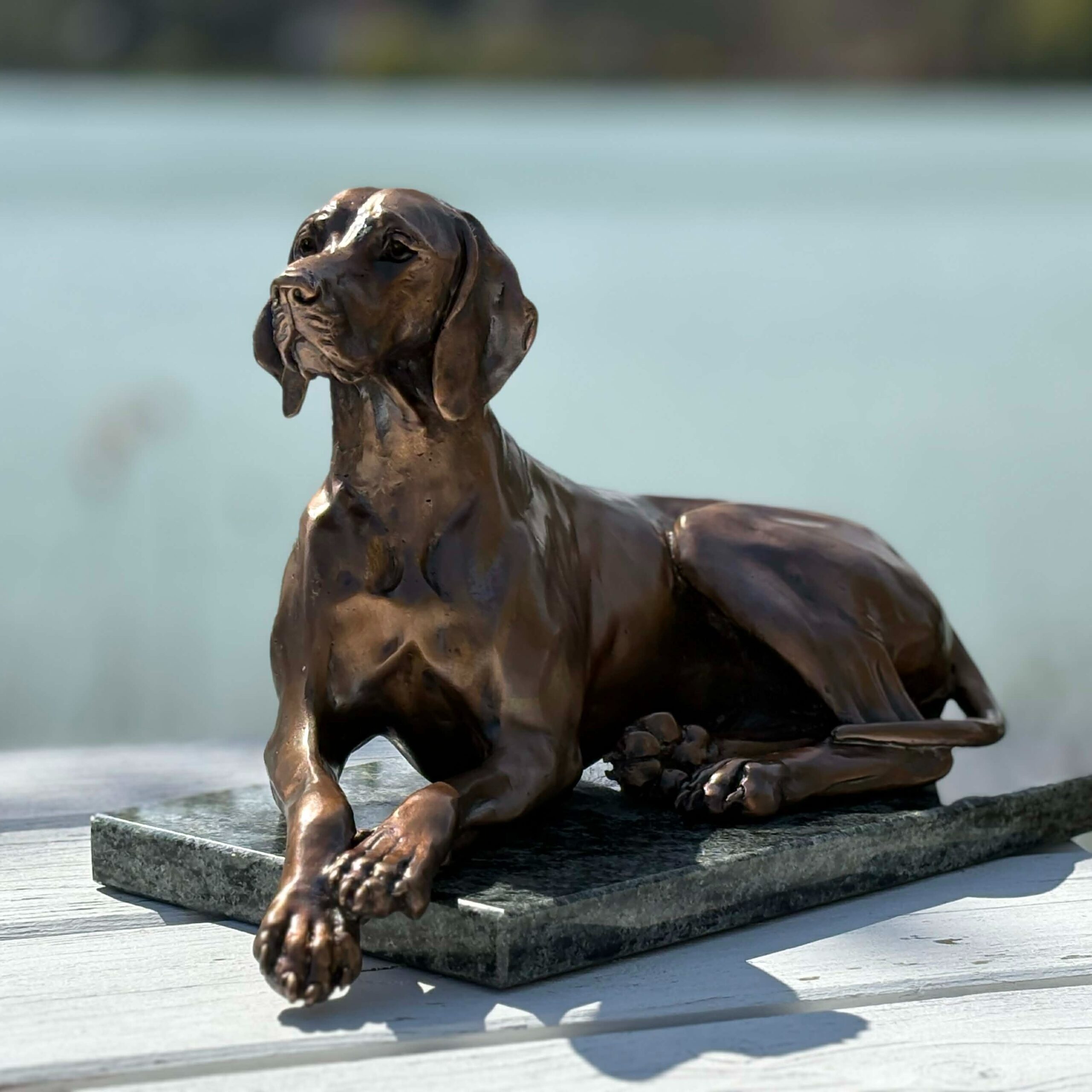 Lying Hungarian Vizsla Bronze sculpture, by Anna Tölgyesi Poós