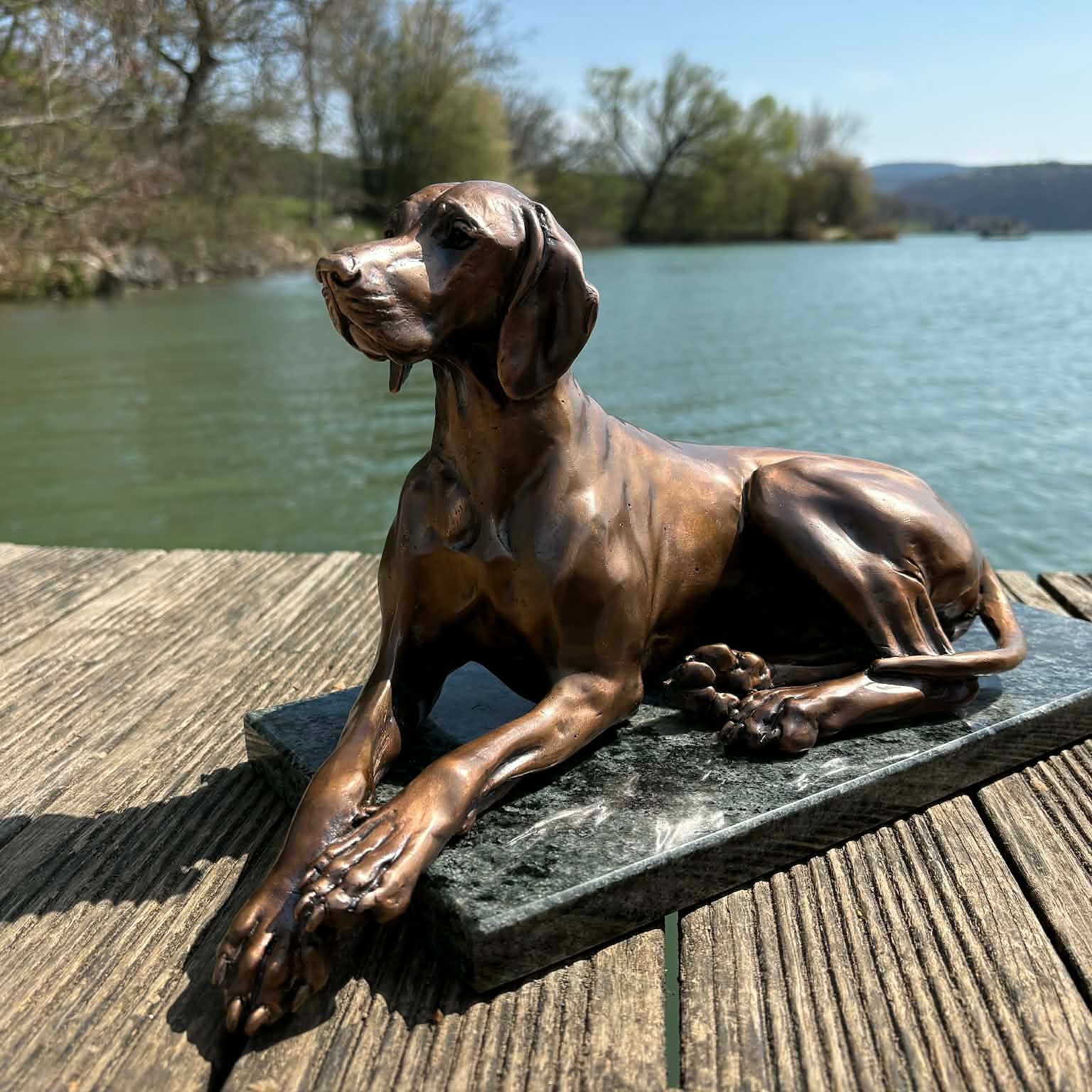 Lying Hungarian Vizsla Bronze sculpture, by Anna Tölgyesi Poós